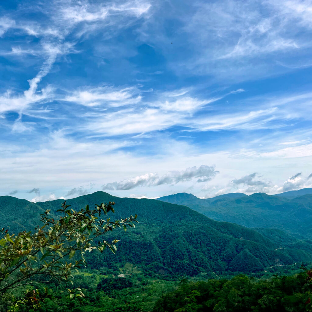 The programs featured image